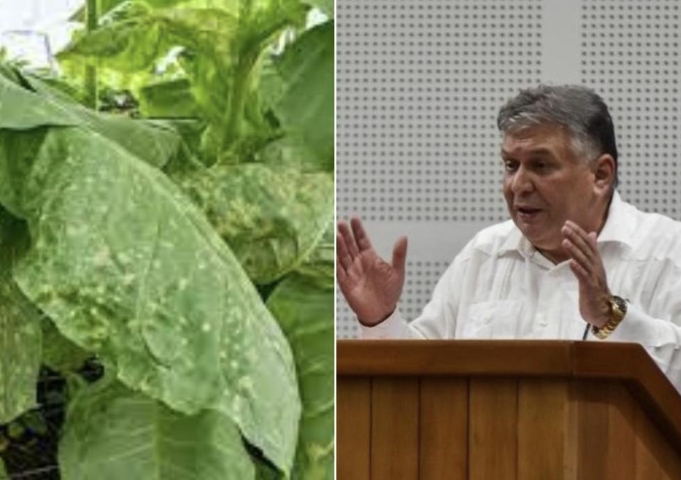 CB69CDA1-5723-4DDA-9E30-3BCCCF576287