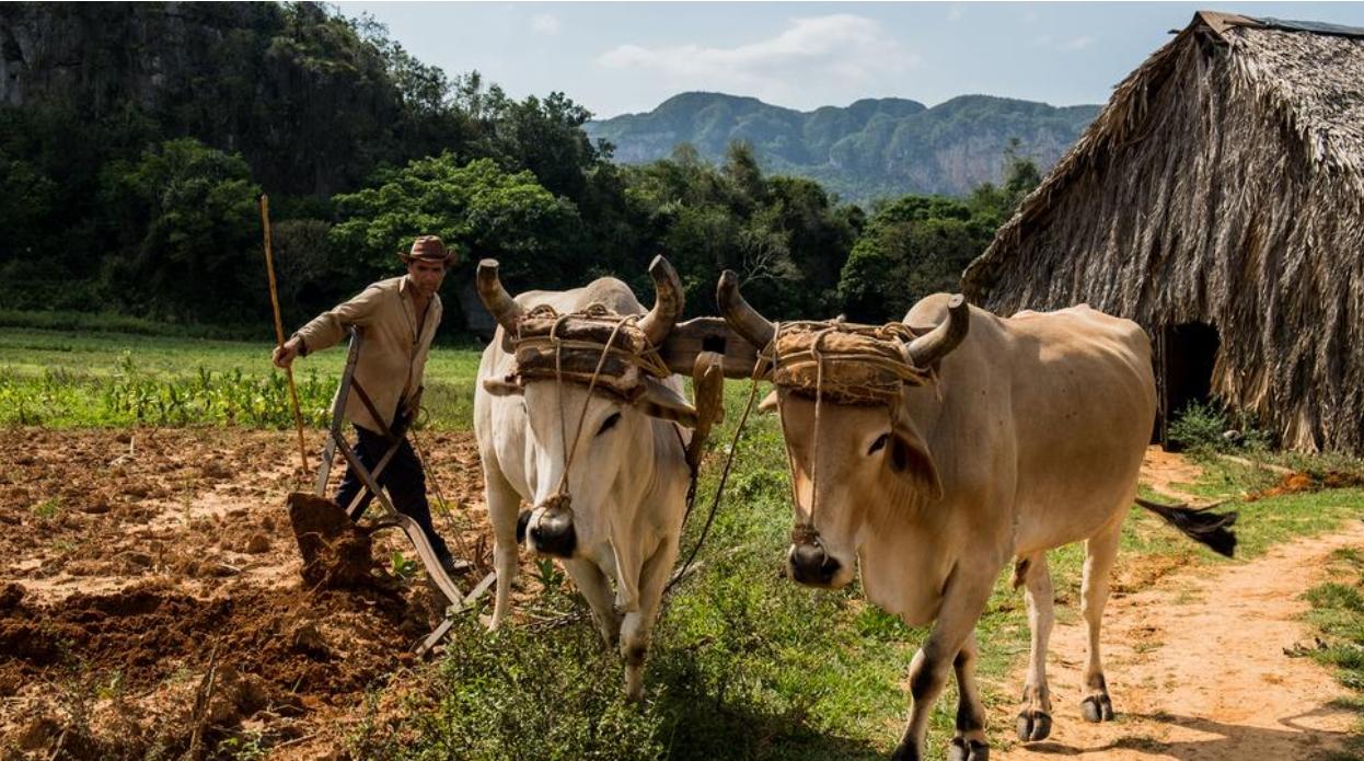 Screenshot_20220327-140024_Chrome