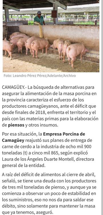 Screenshot_20210703-213804_Chrome