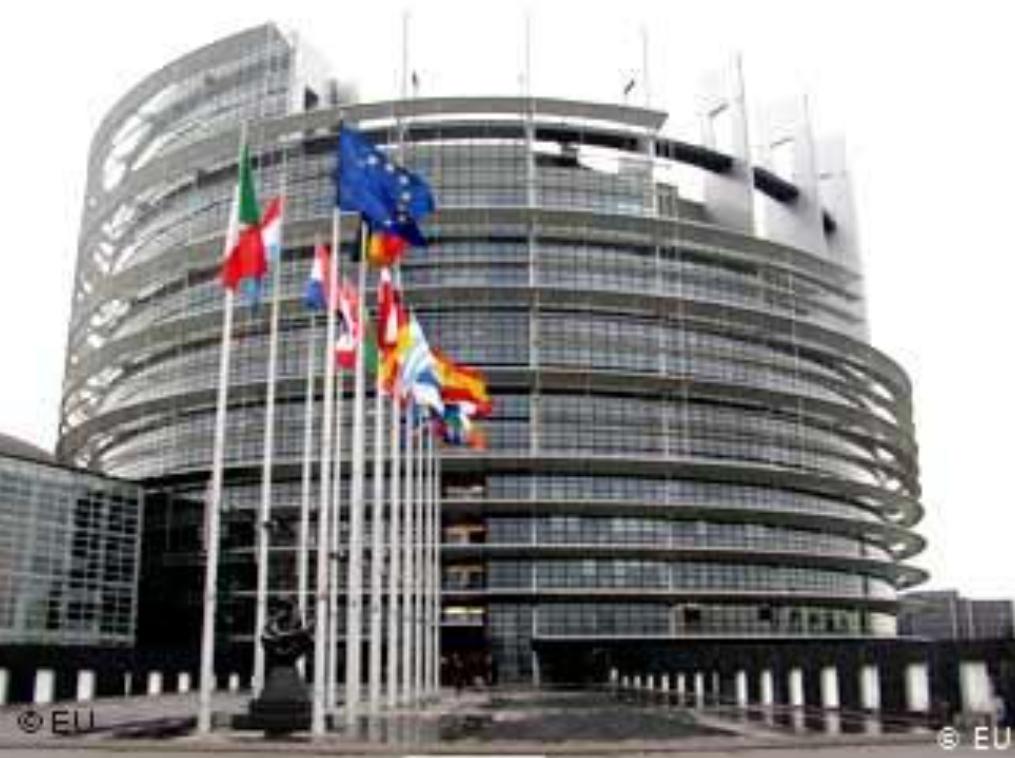 Screenshot_20210610-131227_Chrome