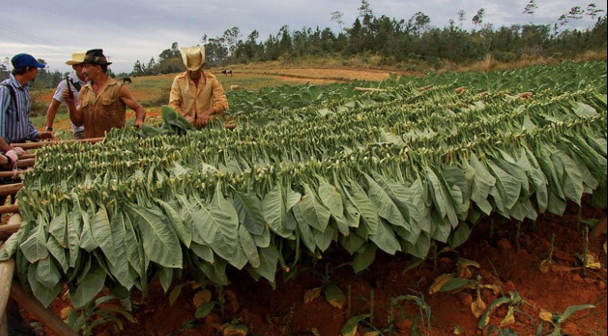 E9C2169B-0DE6-47AB-B6B5-7B58FE0EE89D