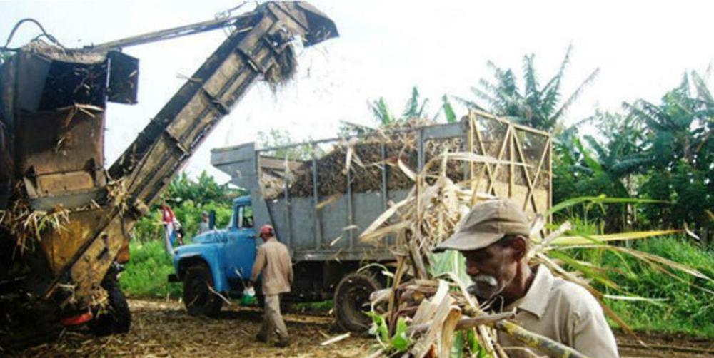 Screenshot_20220202-012836_Chrome