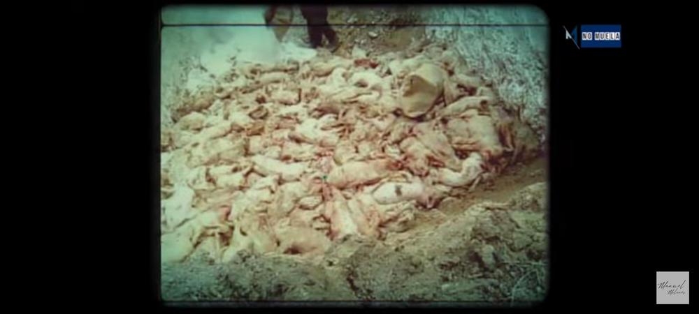 Screenshot_20210703-181713_YouTube