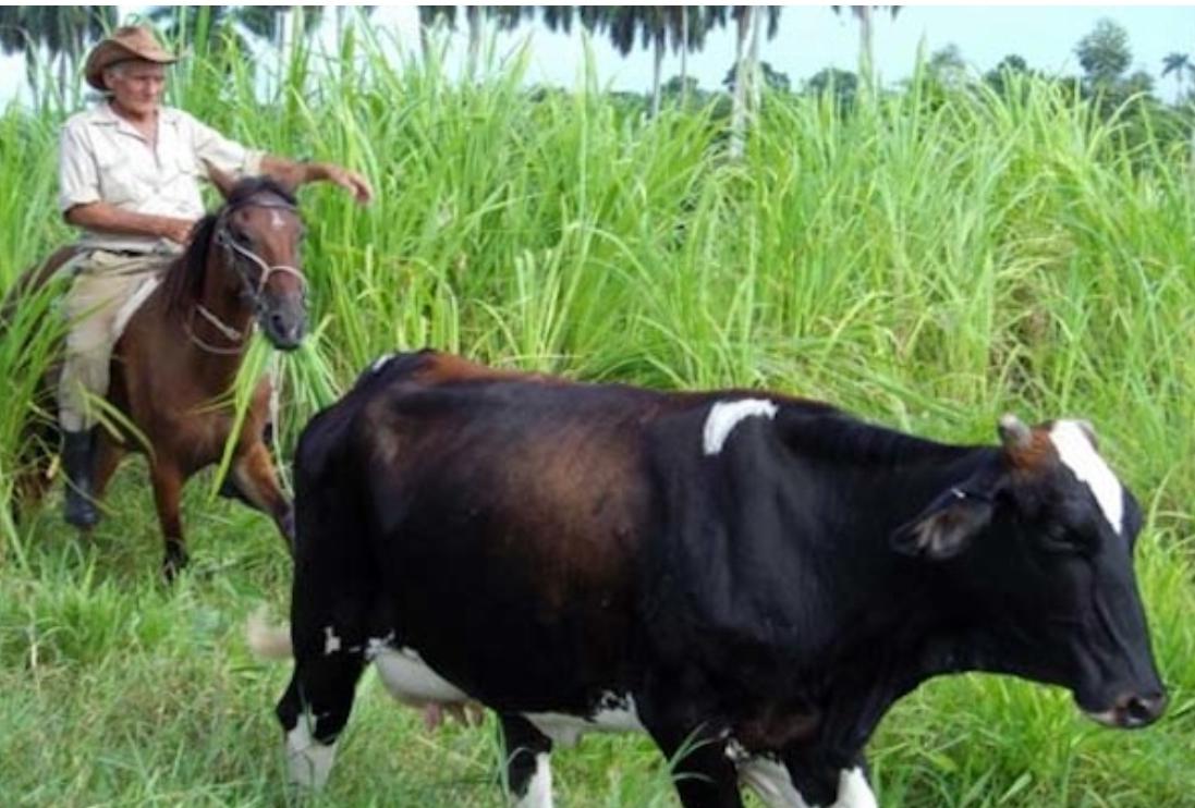 Screenshot_20220327-142834_Chrome