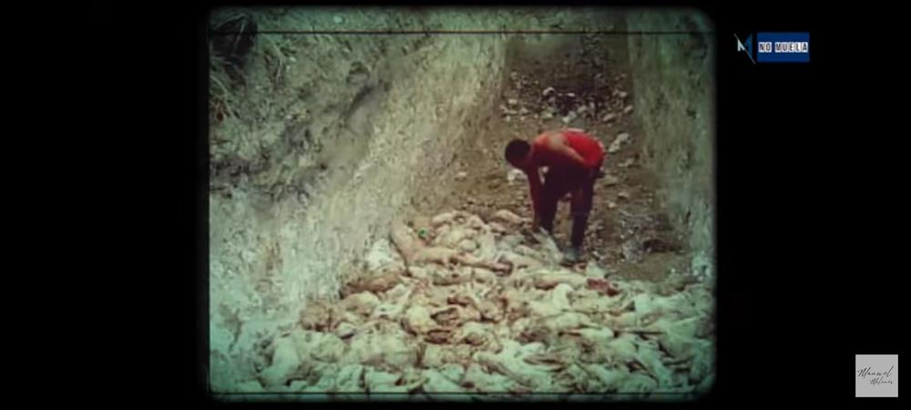 Screenshot_20210703-181721_YouTube