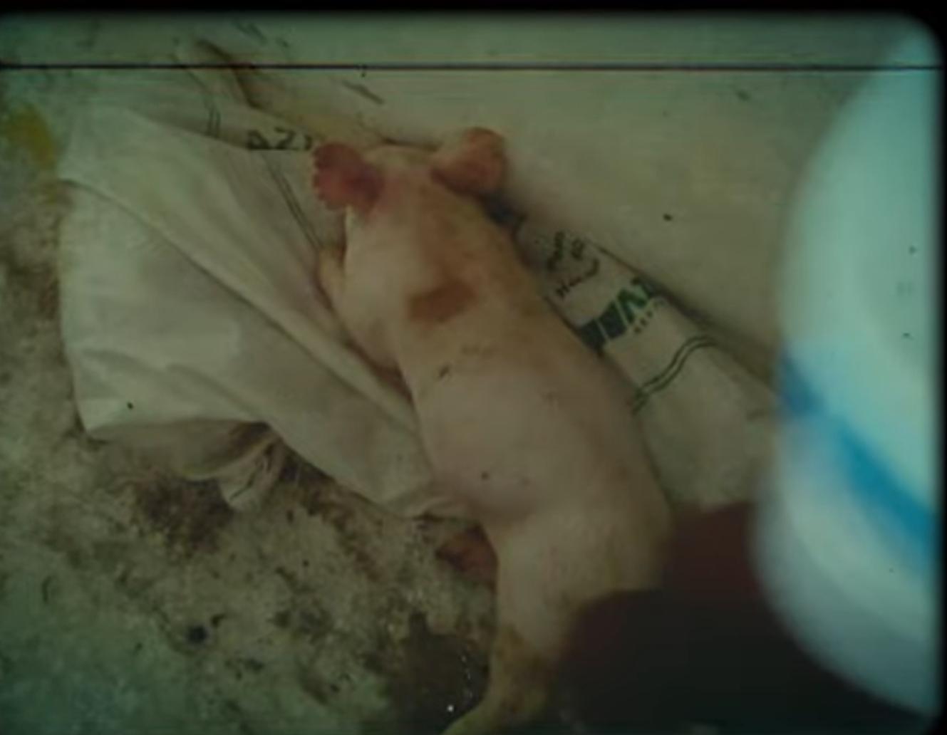 Screenshot_20210704-232555_YouTube