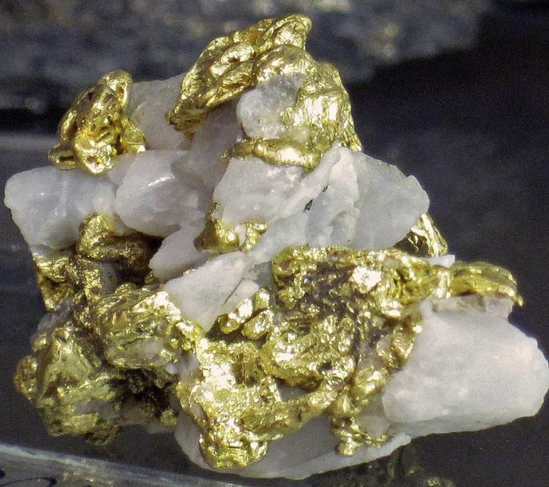 F0A1DBDB-0170-4148-83D2-3FBAF2EC94DC