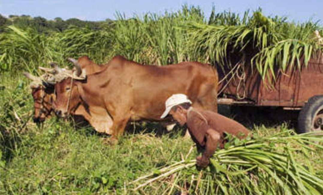 Screenshot_20220327-140004_Chrome