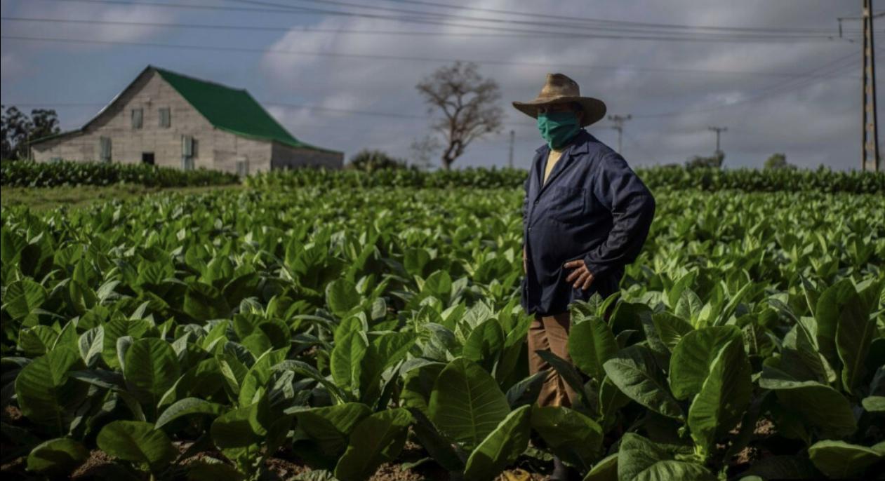 494C8C34-F1BA-4603-AE8D-6677DB00CB52