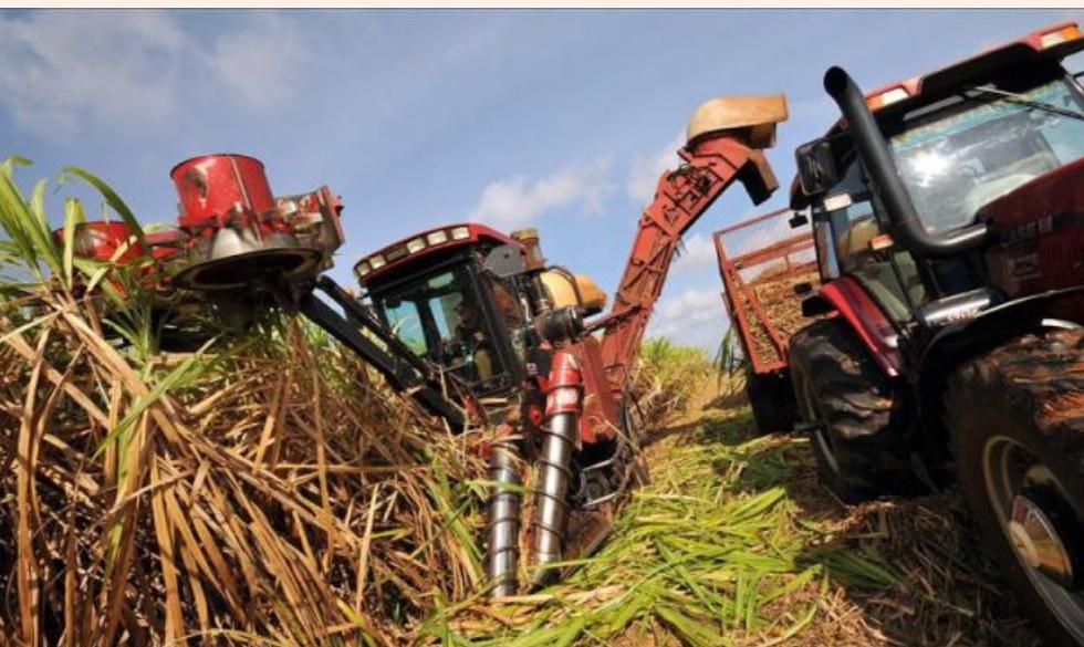 Screenshot_20220202-012322_Chrome